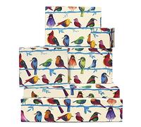 Central 23: Lot de 6 feuilles de papier cadeau pour enfants et bébés avec autocollants recyclables Motif oiseau de la forêt