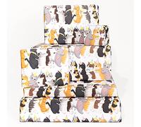 Central 23 - Papier Cadeau Chat Fun - 6 Feuilles de Papier Cadeau - Pour Hommes Femmes - Chat Conga - Pour Propriétaires de Chats - Pour Hommes Femmes - Recyclable et durable