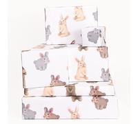 Central 23 - Papier Cadeau Lapins Mignons pour Filles - 6 Feuilles de Papier Cadeau pour Garçons - Lapins Fluffy - Pour Hommes Femmes - Pour Anniversaires - Recyclable