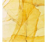 Central Park‘s Mosaics of Reservoir, Lake, Paths and Gardens / Wadada Léo Smith & Amina Claudine Myers