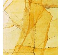 Central Park's Mosaics Of Reservoir, Lake, Paths And Gardens CD