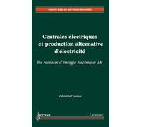Centrales électriques et production alternative d'électricité : les réseaux d'énergie électrique 3B