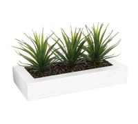 Atmosphera - centre de Table Aloe Vera H17