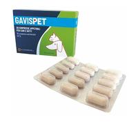 CentroVete Gavispet 30 comprimés appétissants pour chiens et chats