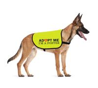 CENWA Veste pour chien Adopt Me I'm A Foster (I'm A Foster L)