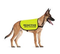 CENWA Veste pour chien avec slogan « Do Not Pet Reactive No Dogs Service » (NO Dogs Reactive M)