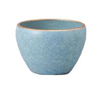 Cenz-888 Pot de Fleurs Les Pots de Fleurs en céramique conviennent à Une Utilisation intérieure et extérieure, Peuvent également accueillir des Plantes comme Les Herbes aromatiques Serpents