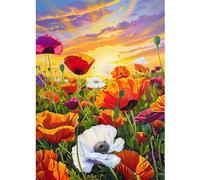 CEOVR Coquelicot Diamond Painting Adulte, Peinture Diamant Adulte,5D DIY Diamond Art Kit Complet,Fleurs au Coucher du Soleil,30x40cm