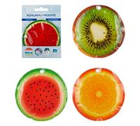 Cepewa Icepack Bloc réfrigérant, env. 16 cm x 1 cm, avec motif fruits, melon, kiwi, orange