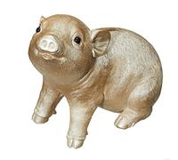 Cepewa Tirelire en forme de cochon porte-bonheur Champagne 20 x 18 x 10 cm