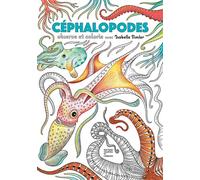 Céphalopodes - Isabelle Simler - Courtes Et Longues - broché - Document jeunesse