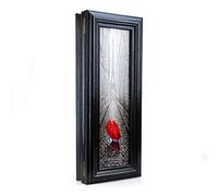 Cer-Plast Armoire Crochet Mural | Boite a Clefs Murale | Porte Clef Mural Organiseur | Porte Clé Mural Decoration Murale Deco Maison Vintage, (SKP-F82CZ)
