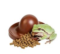 Ceramic Feeding Dish, Reptile Feeder Bowl Tray, Non Slip Base with Stable Design, Sturdy Ceramic Food Container, Terrarium Accessory with, Pet Supply for Gecko and Lizard
