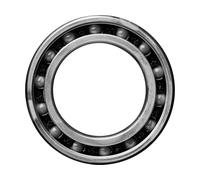 Ceramicspeed Roulements 61802 Single
