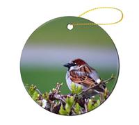 Céramique À Suspendre 7.3CM, Oiseau Moineau Ornement en Céramique Détachables Pendentifs Décoration Personnalisée Boule De Noëls pour Maison Home Decor Fête