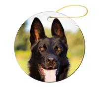 Céramique À Suspendre 7.3CM, Portrait De Chien Ornement en Céramique Détachables Ornements d'arbre De Noël Personnalisée Boule De Noëls pour Fête du Nouvel Fête Maison