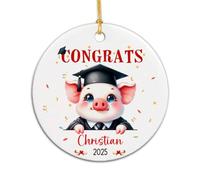 Céramique À Suspendre Bonne Remise des Diplômes Aux Cochons Ornement en Céramique Esthétique Boule De Noëls pour Fête du Nouvel Maison Fête De Vacances 7.3 CM