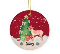 Céramique À Suspendre Chien De Rhodésie À Crête Dorsale Ornement en Céramique Personnalisable Pendentifs Décoration pour Enfant Maison Fête De Vacances 7.3 Cm