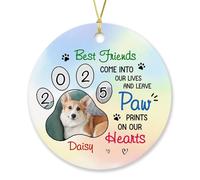 Céramique À Suspendre La Meilleure Amitié Entre dans Nos Vies Ornement en Céramique Esthétique Pendentifs Décoration pour Enfant Fête De Vacances Fête du Nouvel 7.3 Cm