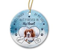 Céramique À Suspendre Mon Animal De Compagnie Restera À Jamais dans Mon Cœur. Ornement en Céramique Détachables Pendentifs Décoration Personnalisée Ornements d'arbre De Noël pour Fête Maison