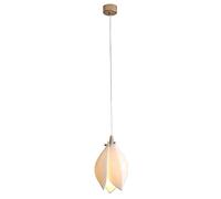 Céramique Moderne Petal Chandelier Plafon