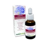 Cerato ou Plumbago (Ceratostigma willmottianum) Fleurs émotionnelles ou Fleurs de Bach Naturalma - Gouttes 30 ml - Extrait liquide sans alcool - Essences florales - Vegan