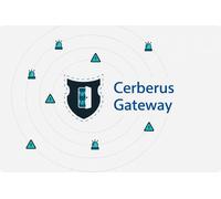 Cerberus Gateway, 1 Server