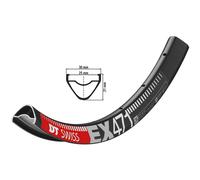 Dt Swiss Ex 471 29´´ 25 Mm Std Vi Disc Tubeless Mtb Rim Argenté 29´´ 32H Black