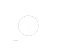 Cercle nu en métal - 22 cm de diamètre