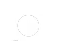 Cercle nu en métal - 25 cm de diamètre