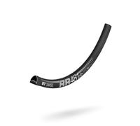 DT Swiss Jante RR 481 Disc 29" noir 29" / 28 Loch