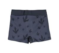 CERDÁ LIFE'S LITTLE MOMENTS Homme Maillot De Bain Jurassic Park Kids Swim Trunks, Noir, 4 Ans EU