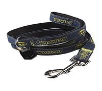 Cerdá Life'S Little Moments - Laisse pour Chien de Nylon de 1,2 Métres - Licence Officielle de Batman DC Comics®