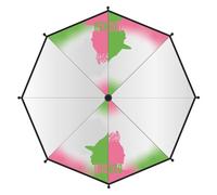 CERDÁ LIFE'S LITTLE MOMENTS Parapluie manuel Poe pour adulte Wicked - Parapluie avec illustrations Wicked, ouverture manuelle sûre, tiges flexibles et design ergonomique