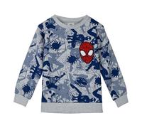 CERDÁ LIFE'S LITTLE MOMENTS Mixte Enfant Sudadera Cotton Brushed Spiderman Sweatshirt, Gris, 7 Ans EU