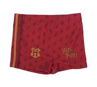 Cerda Maillot de Bain pour Enfant Harry Potter sous Licence Officielle Warner Bros, Multicolore, 6 Ans