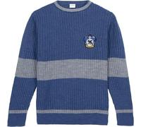 Cerdá Poils Sweatshirt à Capuche, Bleu, Taille Unique Mixte