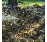Cerebral Rot - Odious Descent Into Decay (Cloudy Vinyl) [Import]