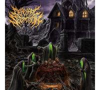 Cerebral Secretion - Infinite Realms of Decay [Import]