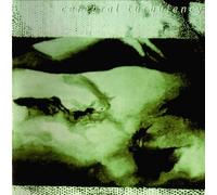 CEREBRAL TURBULENCY - CEREBRAL TURBULENCY Impenetrable