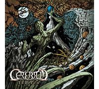 Cerebrum - Iridium
