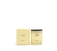 Cereria Molla 1899 Bougie parfumée Verveine di Sicilia 230 g 1 bobine 50 heures de cire de soja teinture faite à la main Mèche en coton