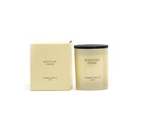 CERERÍA MOLLA 1899 | Bougie Premium Moroccan Cedar | Parfum Aromatique Naturel | 1 Mèche | 50 Heures de Combustion | Senteurs Naturelles | Fabrication Artisanale | Emballage Recyclable | 230gr