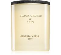 Cereria Mollá Black Orchid & Lily - Bougie parfumée crème - 230,0 g