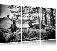 cerf Lutter Contre Ses rivaux Photo sur Toile |Taille: 3 Parties (120x80) cm| Peinture Murale | Art Print | prêt Couvert