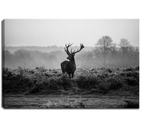Cerf - noir conception / blanc avec des éléments de couleur sur la toile dans le format: 120x80 cm. Art impression de haute qualité comme une fresque. Moins cher qu'une peinture à l'huile! ATTENTION Aucune affiche!