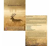 Cerf réputation DVD