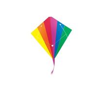 Cerf-volant 2 lignes- Wolkensturmer - Racer - Rainbow