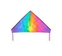 Cerf-Volant Delta Arc-en-Ciel - 140x100cm - HQ