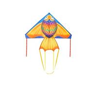 Cerf volant Delta Poisson arc en ciel HQ monofil enfant prêt à voler